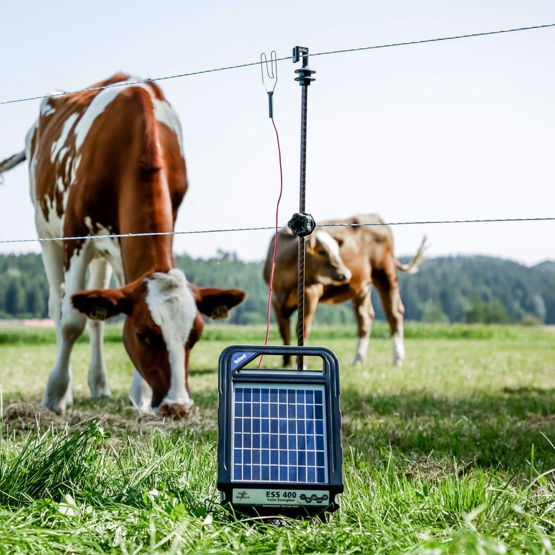 Rutland Electric Fencing offers you the best products and solutions for the proper care of your horses, cattle, sheep, and chickens.