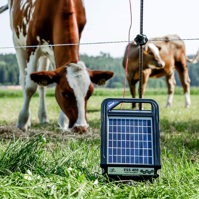 Livestock Essentials